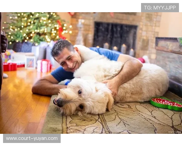 足球球星与宠物猫的独特情缘揭秘：宠物陪伴下的明星生活与温情瞬间